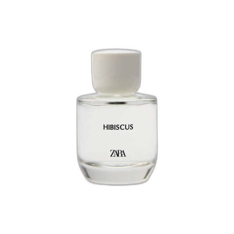 zara-hibiscus.jpeg