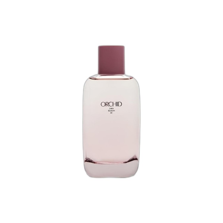 zara-orchid.jpeg